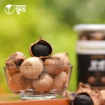 ব্লাক গার্লিক