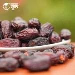 কালমি খেজুর
